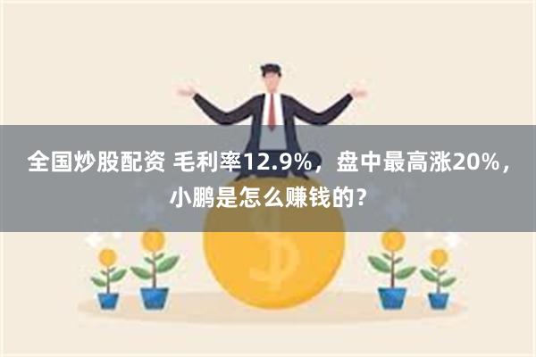 全国炒股配资 毛利率12.9%，盘中最高涨20%，小鹏是怎么赚钱的？