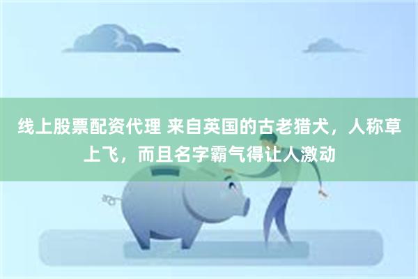 线上股票配资代理 来自英国的古老猎犬，人称草上飞，而且名字霸气得让人激动