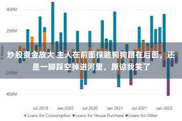 炒股资金放大 主人在前面探路狗狗跟在后面，还是一脚踩空掉进河里，原谅我笑了