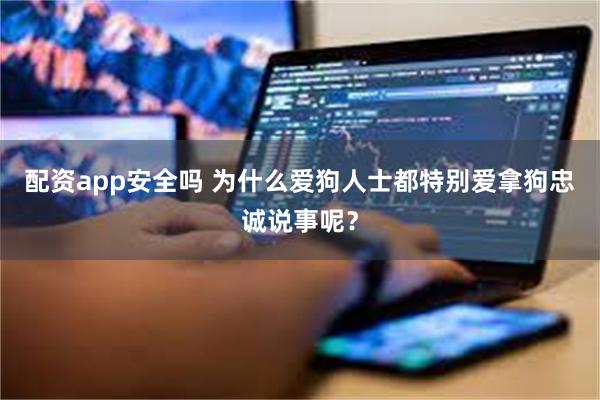 配资app安全吗 为什么爱狗人士都特别爱拿狗忠诚说事呢？