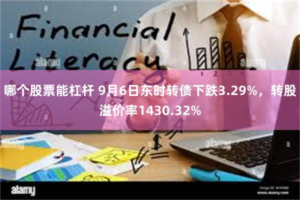 哪个股票能杠杆 9月6日东时转债下跌3.29%，转股溢价率1430.32%