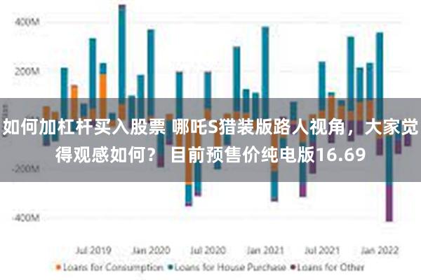 如何加杠杆买入股票 哪吒S猎装版路人视角，大家觉得观感如何？ 目前预售价纯电版16.69