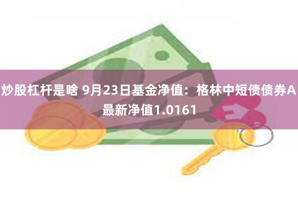 炒股杠杆是啥 9月23日基金净值：格林中短债债券A最新净值1.0161