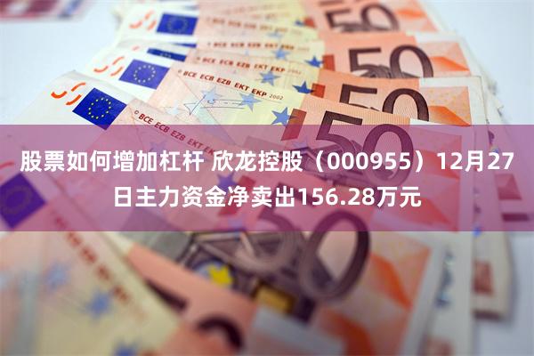 股票如何增加杠杆 欣龙控股（000955）12月27日主力资金净卖出156.28万元