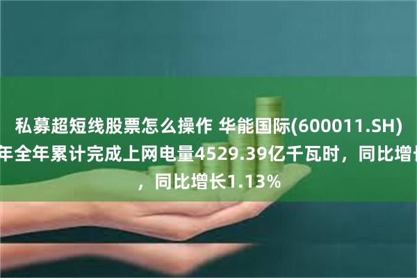 私募超短线股票怎么操作 华能国际(600011.SH)：2024年全年累计完成上网电量4529.39亿千瓦时，同比增长1.13%