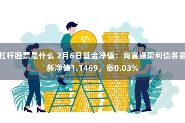 杠杆股票是什么 2月6日基金净值：海富通聚利债券最新净值1.1469，涨0.03%