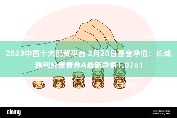 2023中国十大配资平台 2月20日基金净值：长城瑞利纯债债券A最新净值1.0761