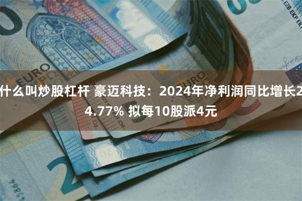 什么叫炒股杠杆 豪迈科技：2024年净利润同比增长24.77% 拟每10股派4元