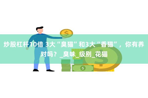 炒股杠杆10倍 3大“臭猫”和3大“香猫”，你有养对吗？_臭味_级别_花猫