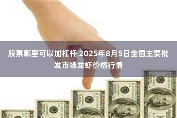 股票哪里可以加杠杆 2025年8月5日全国主要批发市场龙虾价格行情