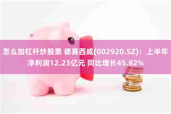怎么加杠杆炒股票 德赛西威(002920.SZ)：上半年净利润12.23亿元 同比增长45.82%